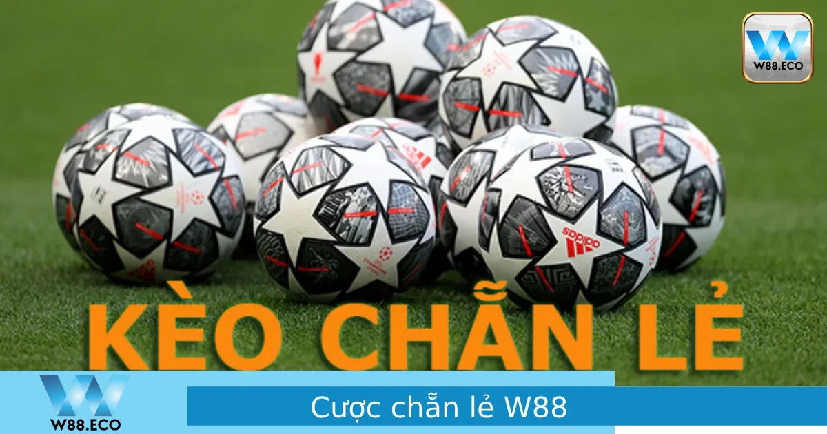 Cược Chẵn Lẻ Là Gì? Cách Chơi Đơn Giản Tại W88