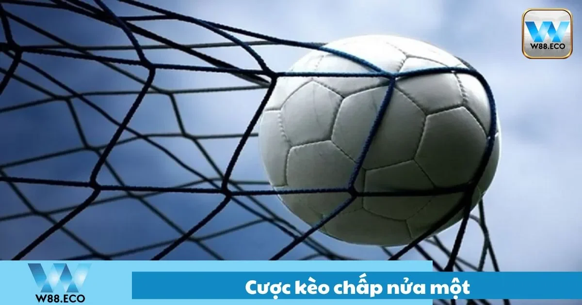 Hướng dẫn cược kèo cho người mới