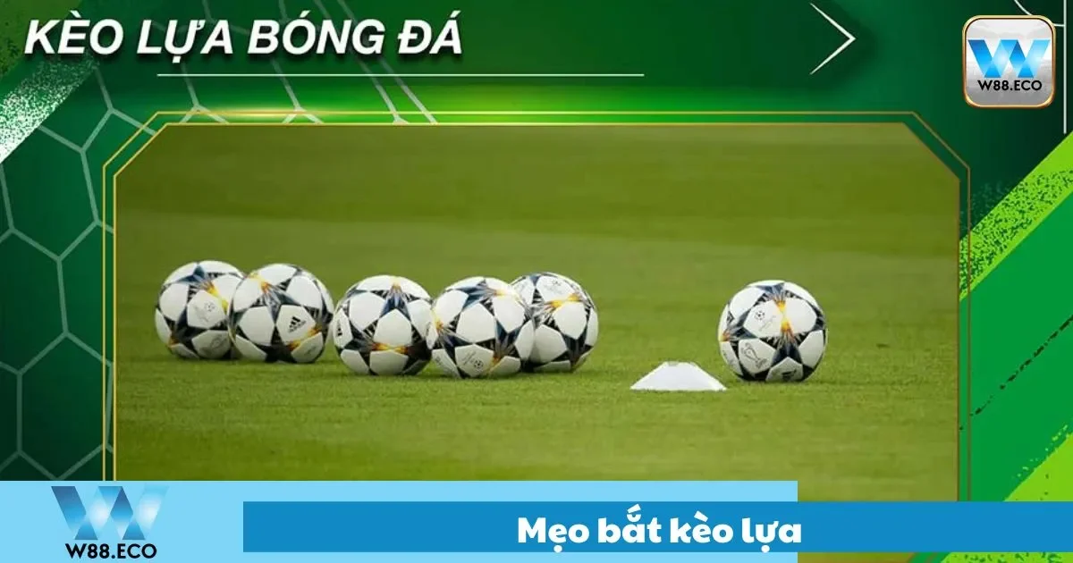 Cách chọn kẹo lựa dễ ăn trúng